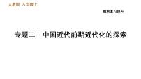 人教版八年级上册历史习题课件 期末复习提升之专题训练 专题二　中国近代前期近代化的探索