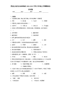 黑龙江省大庆市林甸县2020-2021学年八年级上学期期末历史试题（word版 含答案）