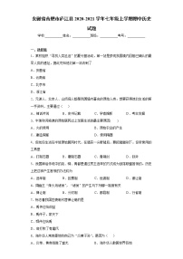 安徽省合肥市庐江县2020-2021学年七年级上学期期中历史试题（word版 含答案）