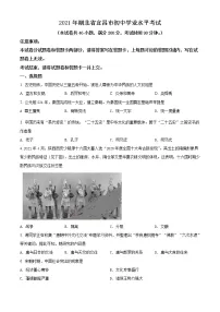 2021年湖北省宜昌市中考历史试题(原卷+解析)