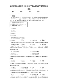 云南省昭通市昭阳区2021-2022学年九年级上学期期中历史试题(word版含答案)