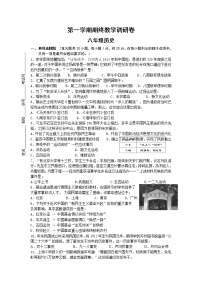 最新人教版八年级历史上册期末测试卷 (3)