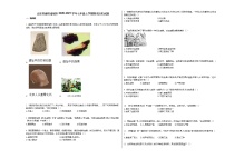 山东省潍坊诸城市2020-2021学年七年级上学期期末历史试题部编版