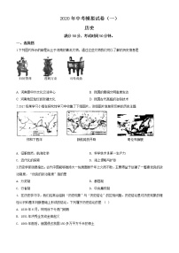 精品解析：2020年河南省南阳市唐河县中考一模历史试题（解析版+原卷版）