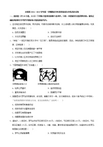 河南省洛阳市汝阳县2021--2022学年部编版上学期期末学科素养检测九年级历史试卷（word版 含答案）