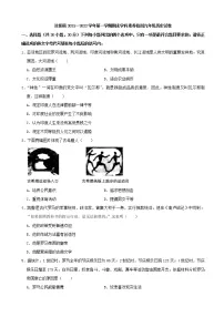 河南省洛阳市汝阳县2021--2022学年部编版上学期期末学科素养检测九年级历史试卷(word版 含答案)