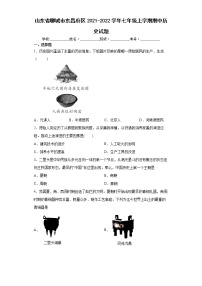 山东省聊城市东昌府区2021-2022学年七年级上学期期中历史试题（word版 含答案）