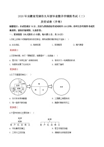 2020年安徽省芜湖市中考二模历史试题（含答案）