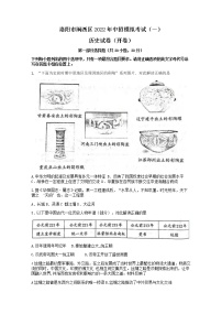 2022年河南省洛阳市涧西区中招模拟考试（一）历史试题（word版含答案）