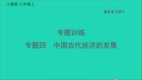 七年级历史上册期末复习提升专题四中国古代经济的发展习题课件新人教版