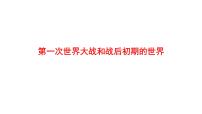 2022年广东省深圳市中考历史一轮复习课件：第一次世界大战和战后初期的世界