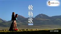人教部编版七年级上册第十九课 北魏政治和北方民族大交融示范课ppt课件