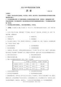 江苏省苏州市星海实验中学2021-2022学年下学期九年级历史练习卷