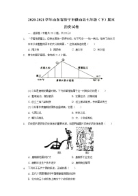 2020-2021学年山东省济宁市微山县七年级（下）期末历史试卷（含解析）