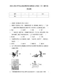 2021-2022学年山东省菏泽市东明县七年级（下）期中历史试卷（含解析）