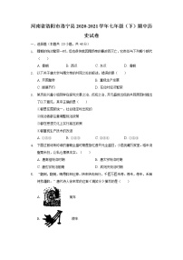 河南省洛阳市洛宁县2020-2021学年七年级（下）期中历史试卷（含解析）