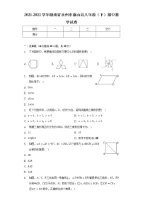 2021-2022学年湖南省永州市蓝山县八年级（下）期中数学试卷（含解析）