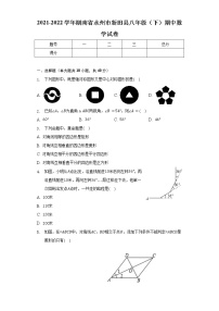 2021-2022学年湖南省永州市新田县八年级（下）期中数学试卷（含解析）