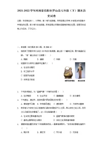 河南省信阳市罗山县2021-2022学年七年级下学期期末历史试卷(word版含答案)