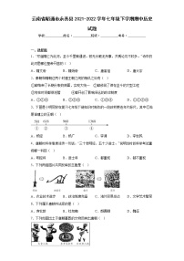 云南省昭通市永善县2021-2022学年七年级下学期期中历史试题(含答案)