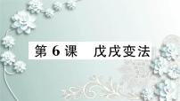 初中历史人教部编版八年级上册第6课 戊戌变法习题课件ppt