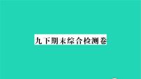 2022九年级历史下学期期末综合检测作业课件新人教版