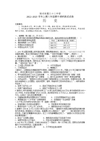 河南省郑州市第八十二中学2022-2023学年八年级上学期期中历史试题（含答案）