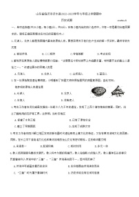 山东省临沂市沂水县2022-2023学年七年级上学期期中历史试题(含答案)