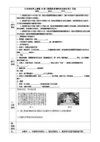 历史七年级上册第二十课 魏晋南北朝的科技与文化学案