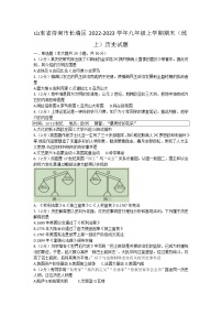 山东省济南市长清区2022-2023学年部编版九年级上学期期末（线上）历史试题(含答案)