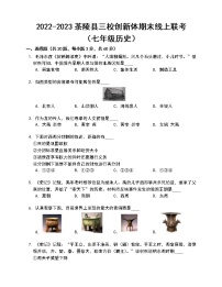 湖南省株洲市茶陵县三校创新体2022-2023学年七年级上学期期末线上联考试题(含答案)