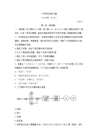 山东省泰安市岱岳区2022-2023学年八年级上学期期末历史试题(含答案)