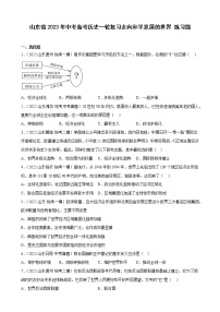 山东省2023年中考备考历史一轮复习走向和平发展的世界 练习题