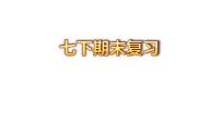部编版七年级历史下册期末复习课件