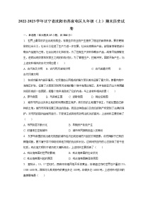 2022-2023学年辽宁省沈阳市苏家屯区九年级（上）期末历史试卷（含解析）