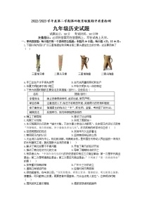 江苏省盐城市东台市第四联盟2022-2023学年部编版下学期九年级历史期中试卷