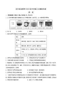 2023年中考第二次模拟考试卷：历史（辽宁沈阳卷）（考试版）A4