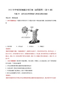 2022年中考历史真题分项汇编专题08 近代化的早期探索与民族危机的加剧（教师版）