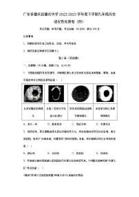 广东省德庆县德庆中学2022-2023学年九年级下学期历史适应性检测卷（四）（含答案）