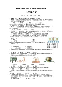 湖南省衡阳师范学院祁东附属中学2022-2023学年七年级下学期期中考试历史试题