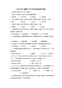 2023年广西南宁市中考历史适应性试卷(含解析)