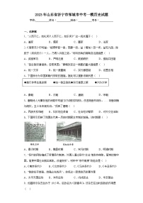 2023年山东省济宁市邹城市中考一模历史试题（含答案）