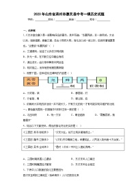 2023年山东省滨州市惠民县中考一模历史试卷(word版)(含解析)