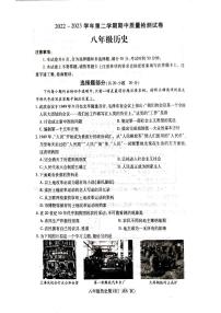 河南省某区县2022-2023学年八年级下学期期中历史试题
