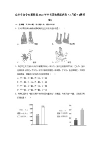 2023年山东省济宁市嘉祥县中考历史模拟试卷（含答案）