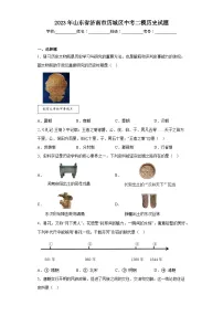 2023年山东省济南市历城区中考二模历史试题（含答案）