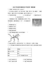 2023年北京市通州区中考历史一模试卷（含解析）