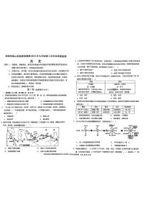 广东深圳南山区南实集团2023届九年级中考二模历史试卷+答案