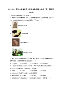 2022-2023学年山东省青岛市崂山实验学校七年级（上）期末历史试卷(含解析）
