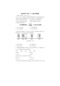 四川省仁寿县坝达初级中学校2022-2023学年八年级下学期期中历史试题